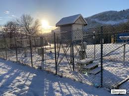 Vi har også eit ledig vikariat som statsmeteorolog i tromsø. Twitter à¤ªà¤° Meteorologene Hvem Skulle Trodd Sno Ved Malestaven Til Meteorologisk Institutt Sitt Kontor I Oslo Og I Bergen Men Ikke I Tromso Dette Har Bare Skjedd En Gang Tidligere
