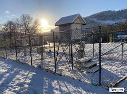 Så er det dere eller yr som treffer på helgeværet i bergen? Twitter à¤ªà¤° Meteorologene Hvem Skulle Trodd Sno Ved Malestaven Til Meteorologisk Institutt Sitt Kontor I Oslo Og I Bergen Men Ikke I Tromso Dette Har Bare Skjedd En Gang Tidligere