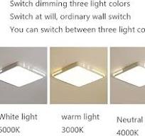 Amazon.com: SHUANGZ LED Ceiling Lamp 24W 2390lm Panel Light ...