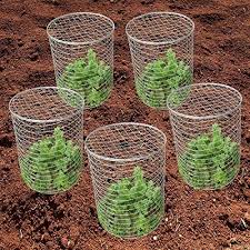 When we know how to keep ants out of vegetable garden areas, we can enjoy nature's bounty and not worry about insect attacks. How To Keep Rabbits Out Of Garden 5 Best Rabbit Repellents