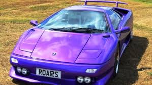 Image result for Redwine Purple 1993 SsangYong
