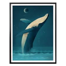 The body is black on the upper surface, with a variable amount of white below, and it has about 30 broad ventral grooves on the. Poster Braun Humpback Whale Wall Art De