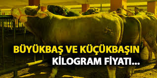 Kurbanlik Fiyatlari Ne Kadar Buyukbasin Kilogram Fiyati Son Dakika Haberleri Internet