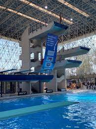 Anuncian abanderados de méxico para tokio 2020. Conade On Twitter Clavados Arranca El Segundo Dia Del Control Tecnico Nacional De Clavados De Primera Fuerza Con Las Pruebas En Plataforma 10 Metros Varonil Y Trampolin 3 Metros Femenil En