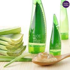 Welcome to aloevera.com, your source for looking, feeling and living healthy the natural way with aloe vera. 5 Aloe Vera Soothing Gel Asal Korea Untuk Kulit Sensitif