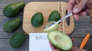Image result for Avocado Light 1969 Tappan