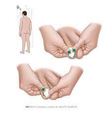 Testis Kanseri Ve Testis Tumoru Testis Protezi Resmi Sitesi