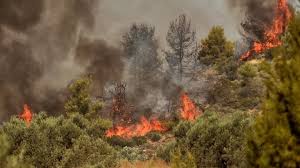 Σε συναγερμό έχουν τεθεί οι πυροσβεστικές δυνάμεις για την πυρκαγιά που μαίνεται στην περιοχή βουρλιώτες της σάμου. Samos Fwtia Se E3eli3h Konta Sto Karlobasi Fwnh Malebizioy