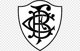 Botafogo logo campeonato brasileiro série a. Botafogo Png Images Pngegg