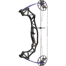 Hoyt Compound Bow Klash Target