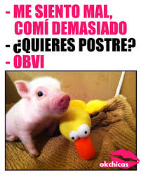 25 Memes Que Entenderas Si Tambien Vives Un Amor Odio Con Tu Pequena Barriguita Memes De Perros Chistosos Memes Memes De Chicas