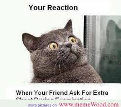 Cute Lego Sayings Terms Funny Animal Quotes Funny Cats Funny Cat Quotes Funny Funny Animal Quotes Cute Animal Quotes