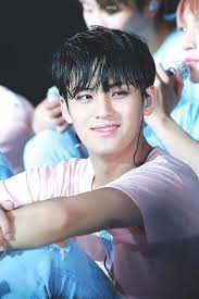 The user claimed that mingyu would watch and. Mingyu Seventeen Foto 40752896 Fanpop