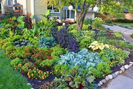 This is a really practical use of space. 50 Front Yard Veggie Gardens Ideas Front Yard Veggie Garden Vegetable Garden