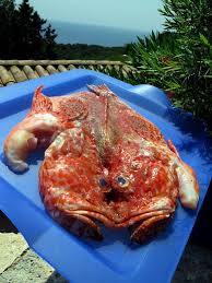Plat facile 15 min 40 min. Chapon Au Four Cuisine De La Mer