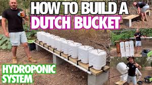 It differs in the way it. Bucket Your Gardening Forum