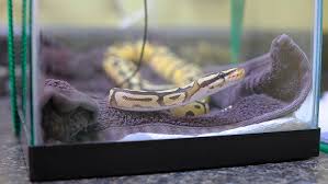 Check spelling or type a new query. Emergency Avian Exotic Animal Clinic