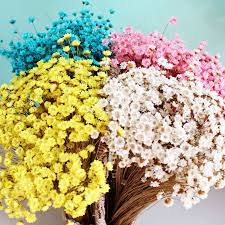 Check spelling or type a new query. 30pcs Decoraitve Dried Flower Mini Daisy Star Flower Bouquet Natural Plants Small Floral For Wedding Diy Home Decoration Artificial Dried Flowers Aliexpress