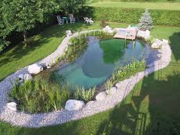 Naturnaher Schwimmteich Mit Uppiger Bepflanzung Naturschwimmteich Schwimmteich Schwimmbad Designs