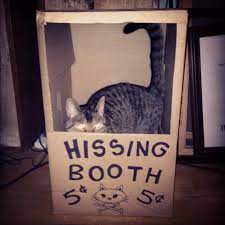 Best 5 Cents You Ll Ever Spend Bad Cats Crazy Cats Cats