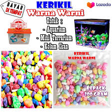 Check spelling or type a new query. Jual Kerikil Hiasan Terbaru Lazada Co Id
