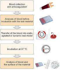 Totally free, no ads, top newest online streaming video. Frontiers Blood Contacting Biomaterials In Vitro Evaluation Of The Hemocompatibility Bioengineering And Biotechnology
