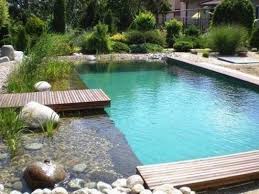 Wundersch N Nat Rliche Teich Swimmingpool Design Ideen Poolideen Schwimmbad Ideen Homedecor Garten In 2020 Natural Pool Natural Swimming Pools Pool Landscaping