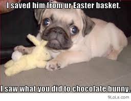 funny pics, funny quotes, funny easter, derp and - image #675936 ... via Relatably.com