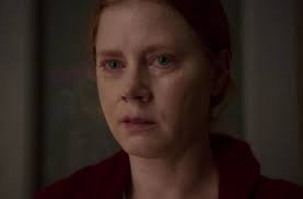 Amy adams/adam davidson (2020) see more ». The Woman In The Window Trailer Amy Adams Leads Joe Wright S Thriller Adaptation