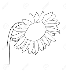 We did not find results for: Vector Illustration Isolated Sunflower In Black And White Colors Royalty Free Cliparts Vectors And Stock Illustration Image 101509685