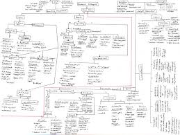 E Coli Flow Chart Gram Negative Classification Of Bacteria