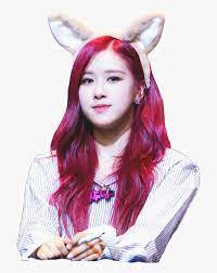 Search, discover and share your favorite blackpink rose gifs. Rose Rose Roseblackpink Blackpink Blackpinkrose Bp Rose De Black Pinck Hd Png Download Transparent Png Image Pngitem