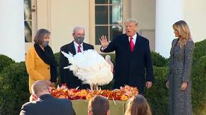 To end the thanksgiving weekend, trump tweeted thank you president t trump is thankful for himself this thanksgiving weekend. The Thanksgiving Turkey Pardon Was The Final Humiliation Of Donald Trump The Independent