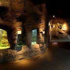 We did not find results for: Randers Regnskov Tropical Zoo Page 12 Zoochat