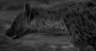Don T Bite The Hand That Feeds You Gif Https Encrypted Tbn0 Gstatic Com Images Q Tbn 3aand9gcqvj7a1maqs4mve3smckssj Jasb34g5m8dgw Usqp Cau