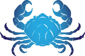 Your cancer horoscope 2020 shows the planetary heavyweights are congregating in your 7th house of marriage. Horoscope 2020 Prediction Report For All 12 Zodiac Signs