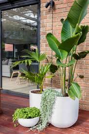 A Little Greenery To Brighten Your Day The Alfresco Area Of This Project Was Planted With Clusters Of In 2020 Potted Plants Patio Potted Plants Outdoor Patio Plants
