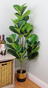 Shop artificial 7' fiddle leaf fig tree. Artificial Fiddle Leaf Fig Tree 130cm Shanaisha