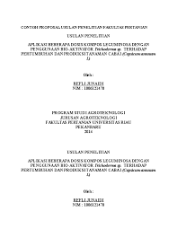 Contoh proposal usaha di bidang pertanian. Doc Contoh Proposal Usulan Penelitian Fakultas Pertanian Nuky Nurcholis Academia Edu