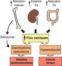 We did not find results for: La Lithiase Renale Un Marqueur Du Risque Cardiovasculaire