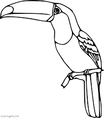 Coloring pages for kids coloring books toucan online coloring jungle theme cartoon movies embroidery designs birds wood burning. Simple Realistic Toucan Coloring Page Coloringall