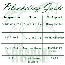 Unsure Which Blanket To Use On Your Horse Check Out This