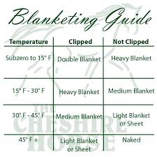 unsure which blanket to use on your horse check out this