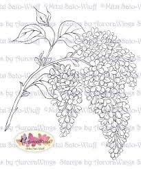 Pin By Yolanda Diles On Drawing Flower Drawing Flower Line Drawings Flower Sketches