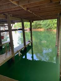 There are a few deeded homes here, but mainly long term rentals called russell cabins. Lake Martin Cabin Rental Sharon Johnston 334 799 0529