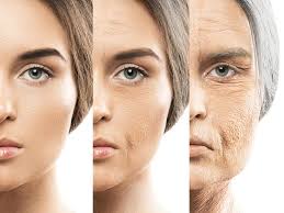 Previously Unknown Driver of Aging Discovered