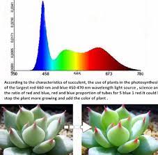 There's a lot of talk about red light and blue light. Led Growth Light 1 5 Red Blue Succulent Indoor Plant T5 30cm T8 60cm Light Tube Kit Pack Of 5 Led Grow Led Grow Lightgrow Light Aliexpress