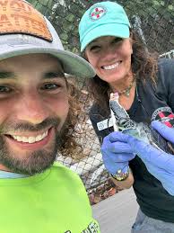 Sea turtle conservation in Marathon, Florida