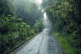 Rainy。