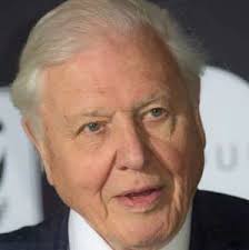 admin, Author at NEXT Foundation